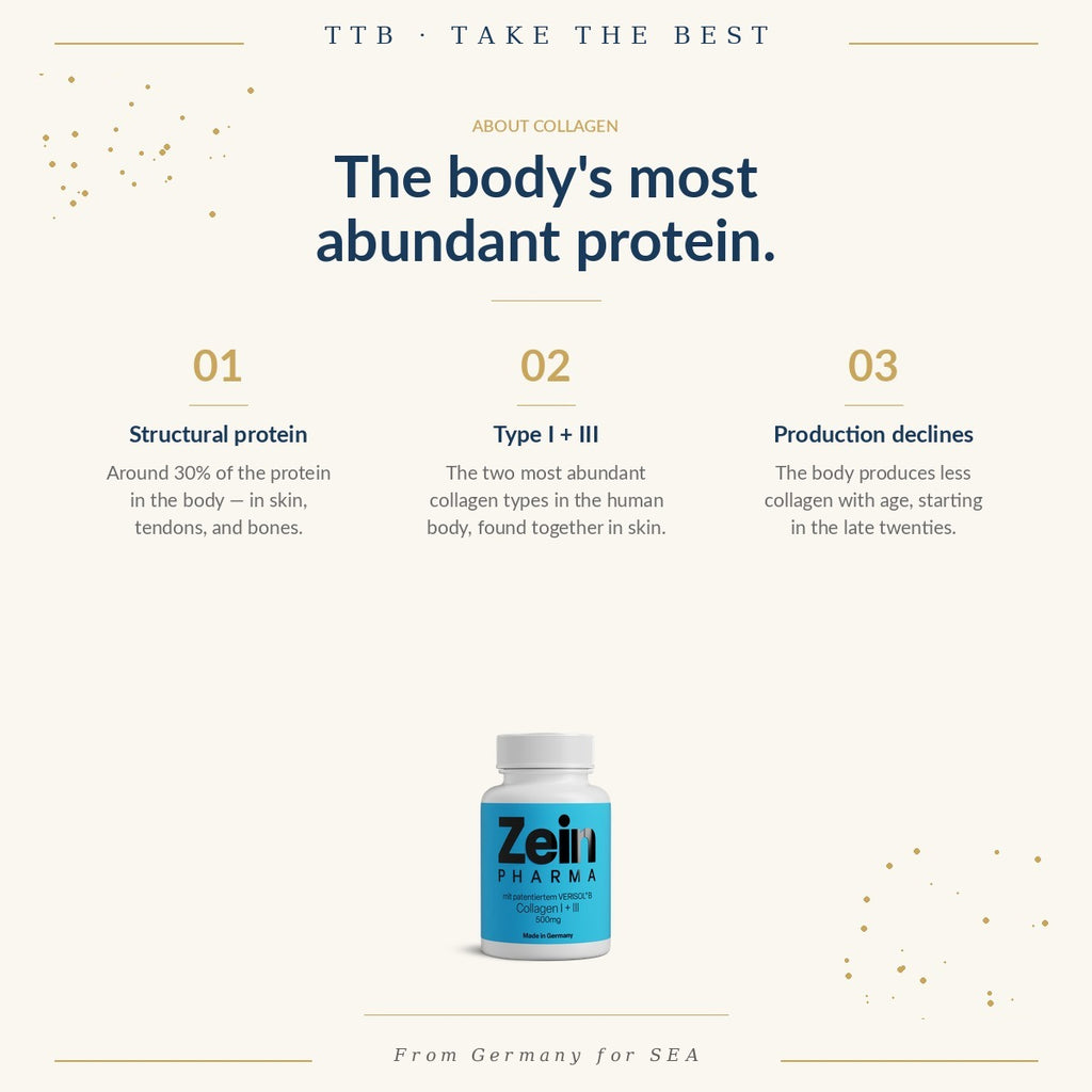 Collagen I + III (Verisol®) 500mg | ZeinPharma