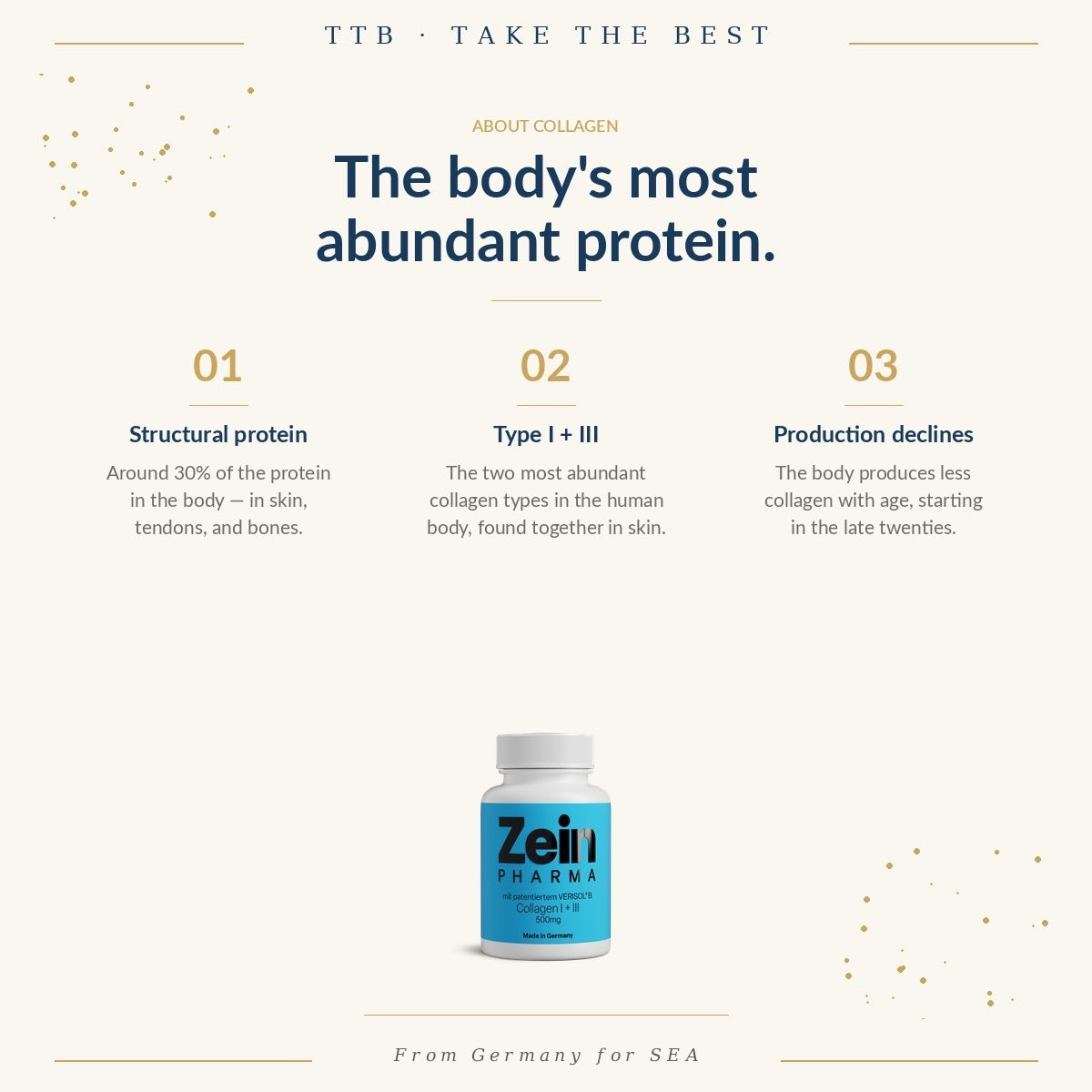 Collagen I + III (Verisol®) 500mg | ZeinPharma